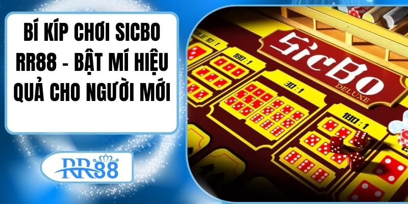Bí Kíp Chơi Sicbo RR88 - Bật Mí Hiệu Quả Cho Người Mới
