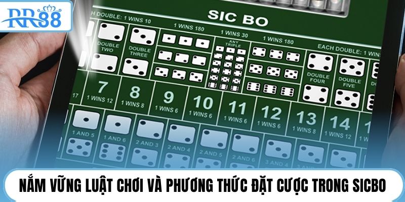 Nắm vững luật chơi và phương thức đặt cược trong Sicbo