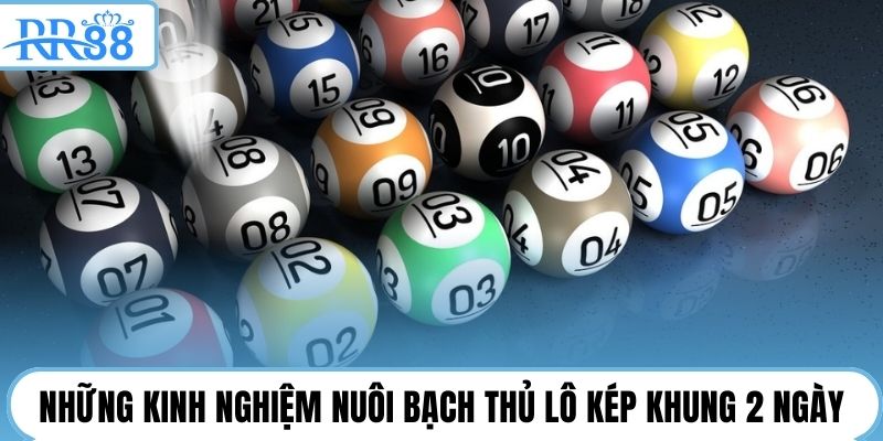 Những kinh nghiệm nuôi bạch thủ lô kép khung 2 ngày
