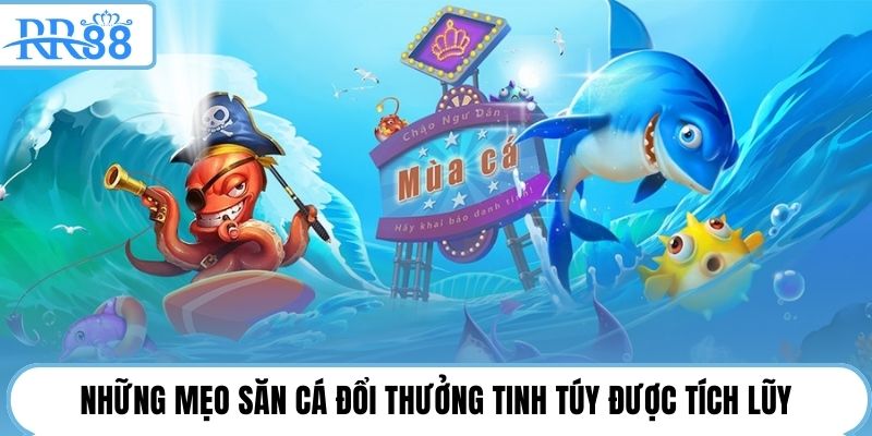 Những mẹo săn cá đổi thưởng tinh túy được tích lũy