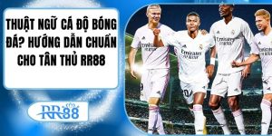 Thuật Ngữ Cá Độ Bóng Đá? Hướng Dẫn Chuẩn Cho Tân Thủ RR88