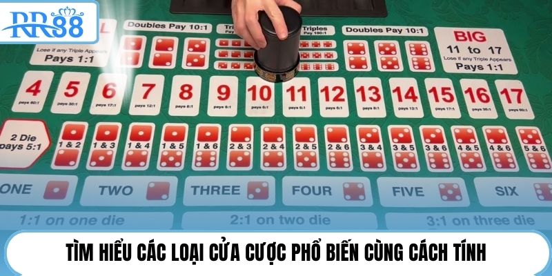 Tìm hiểu các loại cửa cược phổ biến cùng cách tính