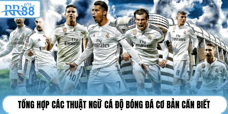 Tổng hợp các thuật ngữ cá độ bóng đá cơ bản cần biết