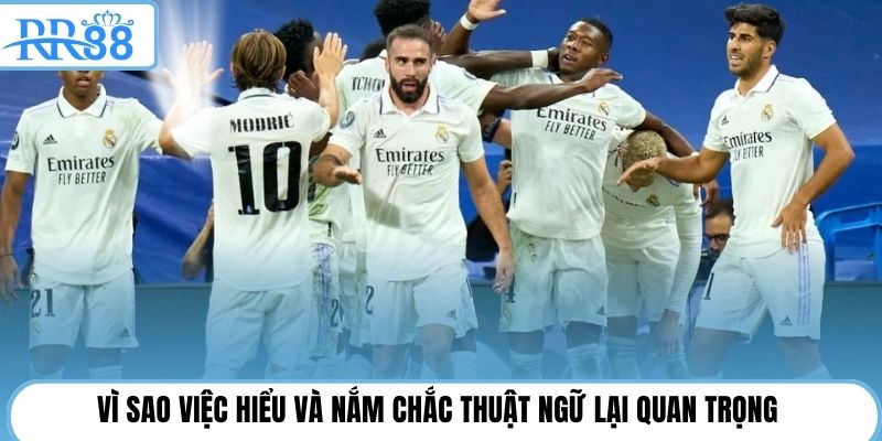 Vì sao việc hiểu và nắm chắc thuật ngữ lại quan trọng